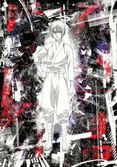 Capa de Sword Gai The Animation