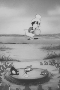 Arte de la Cubierta