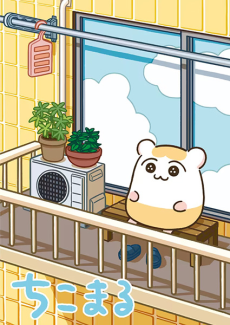 Capa de Chikomaru