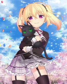 Capa de Nora to Oujo to Noraneko Heart