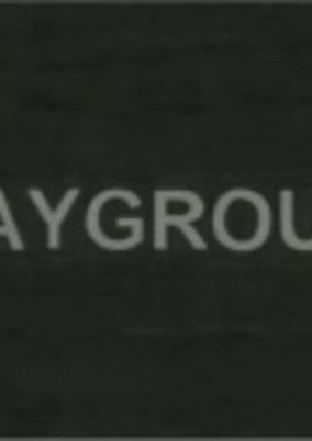 Cover of Playground