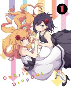 Capa de Gabriel Dropout