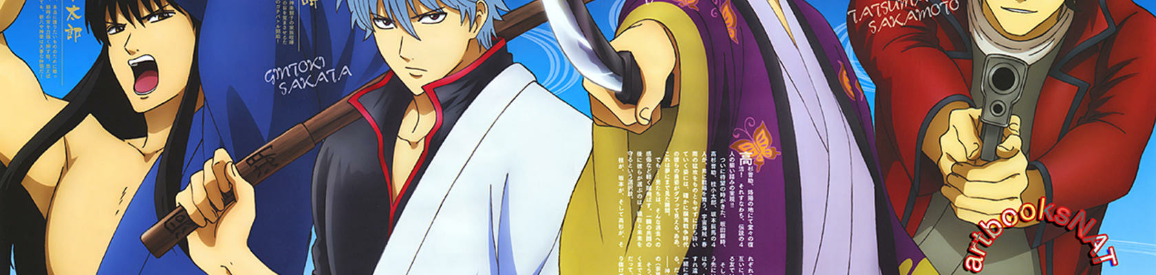 banner