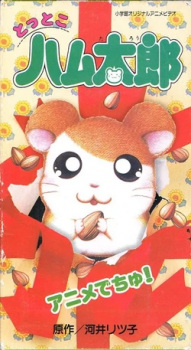 Arte de la Cubierta