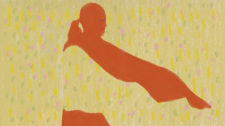 Cover of Mienai Hane