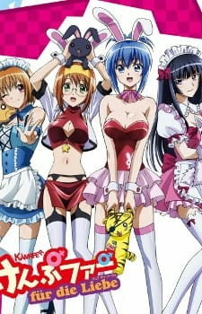 Capa de Kämpfer für die Liebe