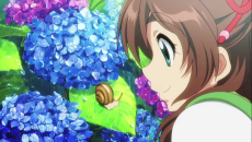 Capa de Kyoto Animation: Ajisai-hen