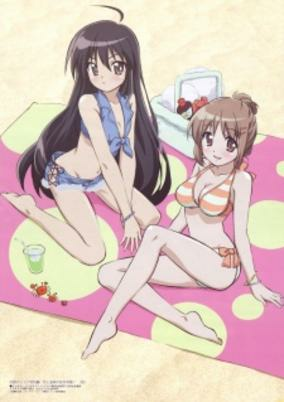Cover of Shakugan no Shana SP: Koi to Onsen no Kougai Gakushuu!