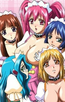 Capa de Famiresu Senshi Purin