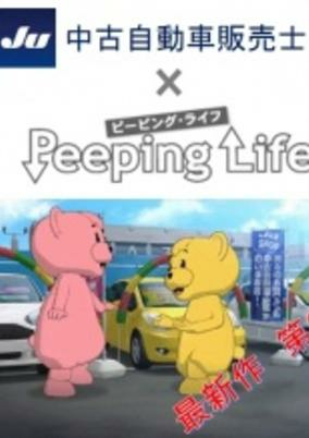 Cover of JU Chuuko Jidousha Hanbaishi x Peeping Life