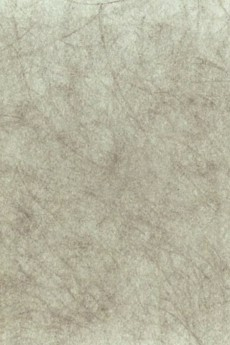 Titelbild von Scripta Volant
