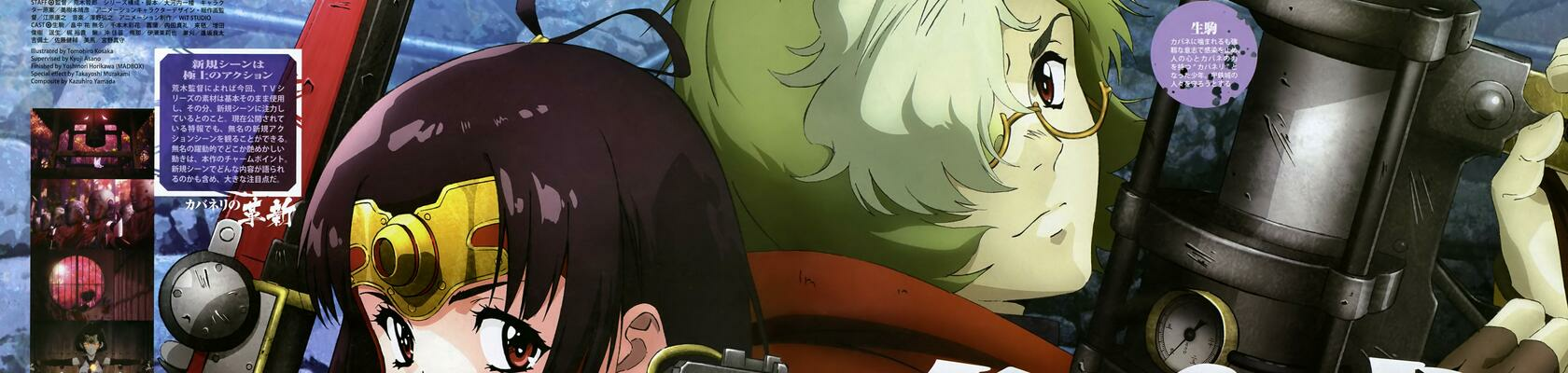 banner