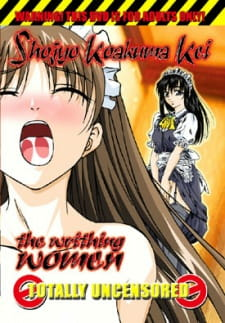 Capa de Shoujo Koakuma Kei