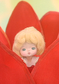 Cover of Oyayubi-hime