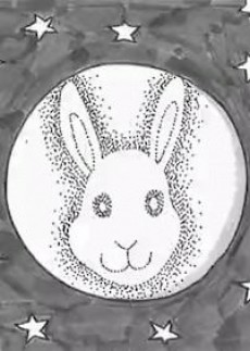 Arte de la Cubierta
