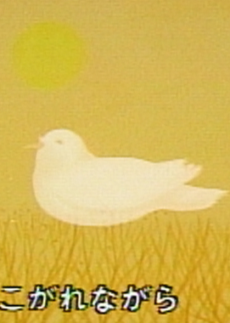 Cover of Hato no Uta