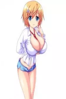 Arte de la Cubierta