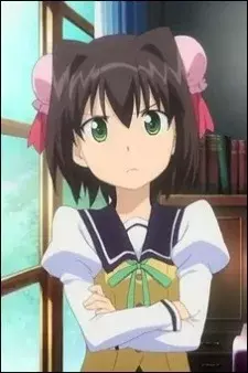 Arte de la Cubierta