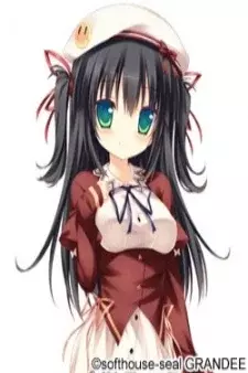 Arte de la Cubierta