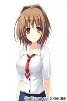 Cover Art