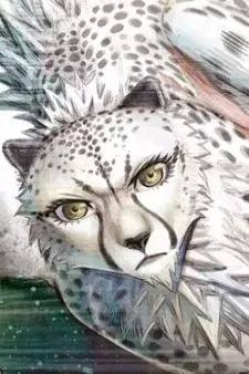 Arte de la Cubierta