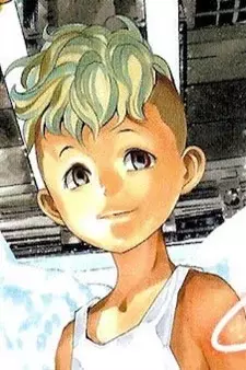 Cover Art