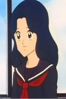 Arte de la Cubierta