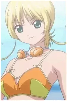 Arte de la Cubierta