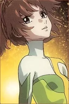 Arte de la Cubierta