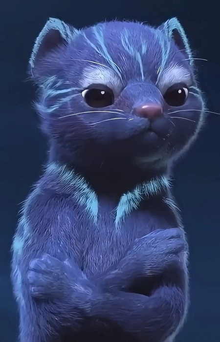 Arte de la Cubierta