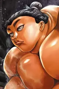 Arte de la Cubierta