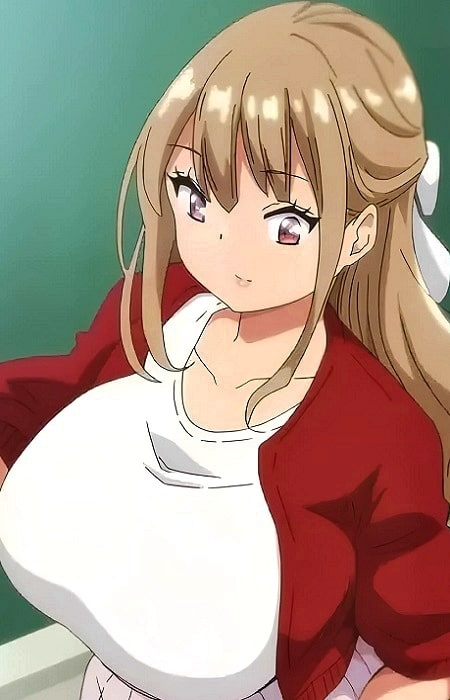 Arte de la Cubierta