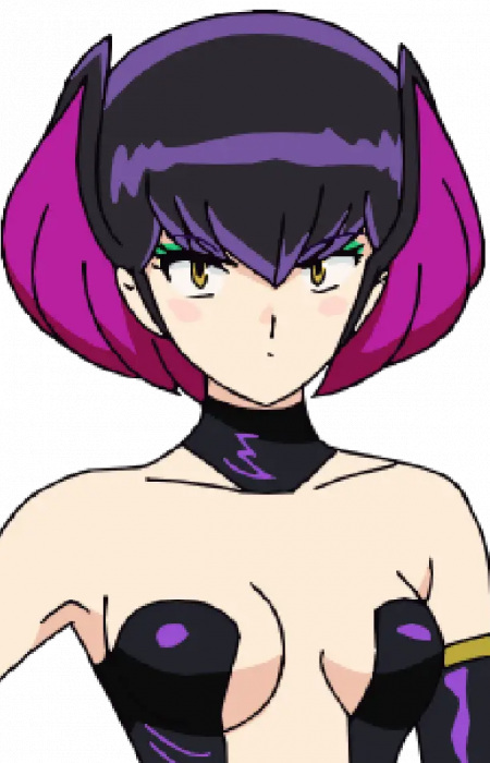 Arte de la Cubierta