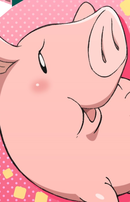 Arte de la Cubierta