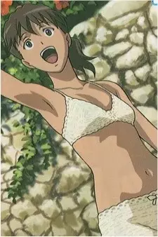 Arte de la Cubierta
