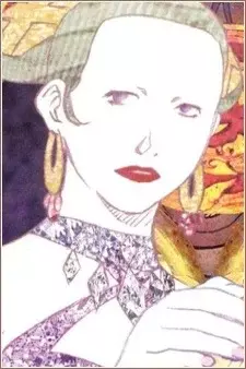 Arte de la Cubierta