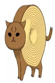 Arte de la Cubierta