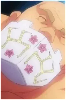 Arte de la Cubierta