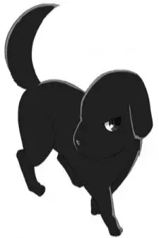 Arte de la Cubierta