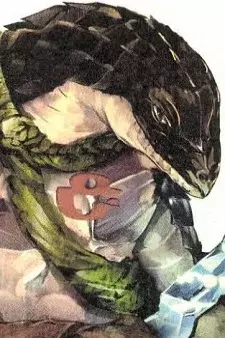 Arte de la Cubierta