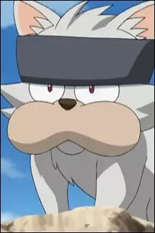 Arte de la Cubierta