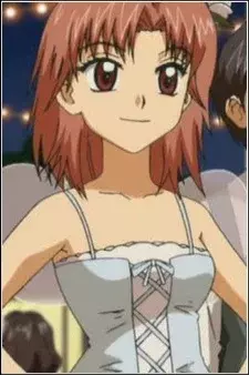 Arte de la Cubierta