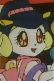 Arte de la Cubierta