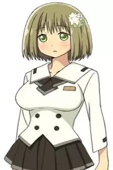Arte de la Cubierta