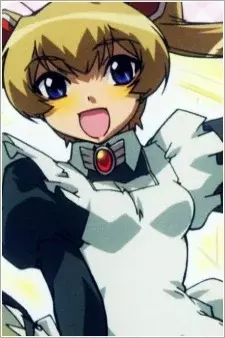 Arte de la Cubierta