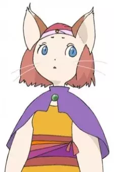 Arte de la Cubierta
