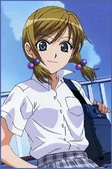 Arte de la Cubierta