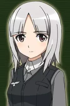 Arte de la Cubierta