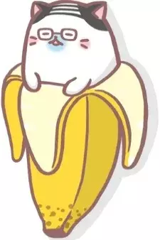 Arte de la Cubierta