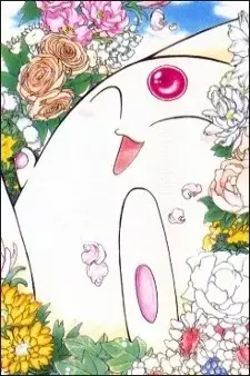 Arte de la Cubierta